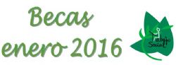 Finaliza el plazo solicitar becas de formación