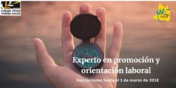EXPERTO EN PROMOCIÓN Y ORIENTACIÓN LABORAL