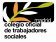 SUBGRUPO DE DIAGNOSTICO SOCIAL