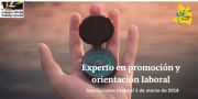 EXPERTO EN PROMOCIÓN Y ORIENTACIÓN LABORAL