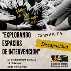 "Explorando espacios de intervención– DISCAPACIDAD". 