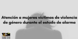 Información relativa al funcionamiento de la red municipal de atención integral a víctimas de violencia de género en el ámbito de la pareja o expareja del Ayuntamiento de Madrid 